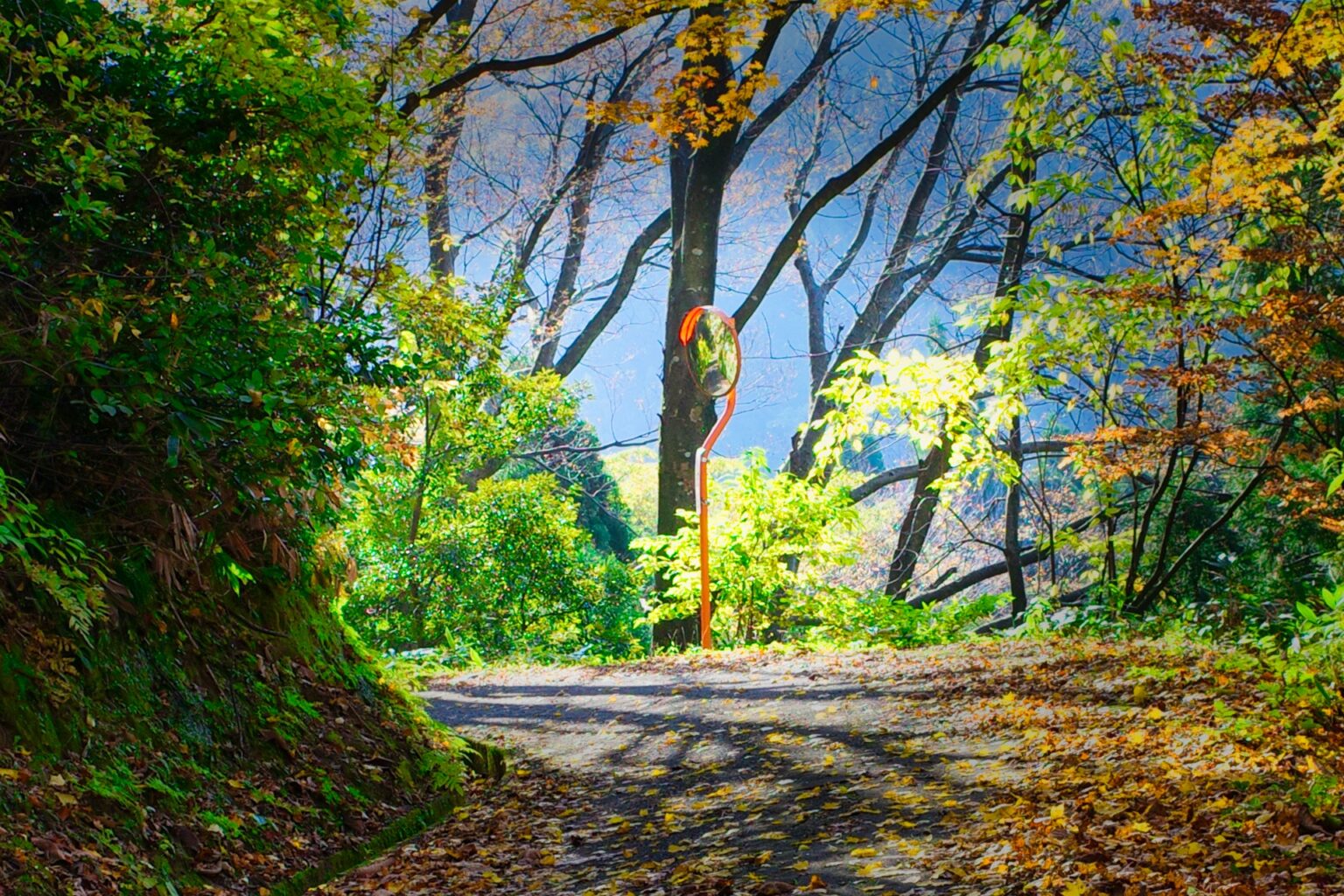 山道のカーブミラー