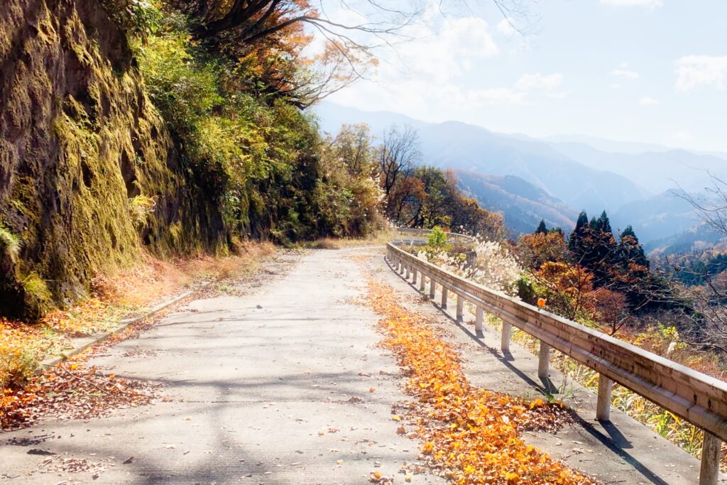 道路のアイキャッチ