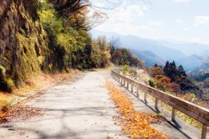 道路のアイキャッチ