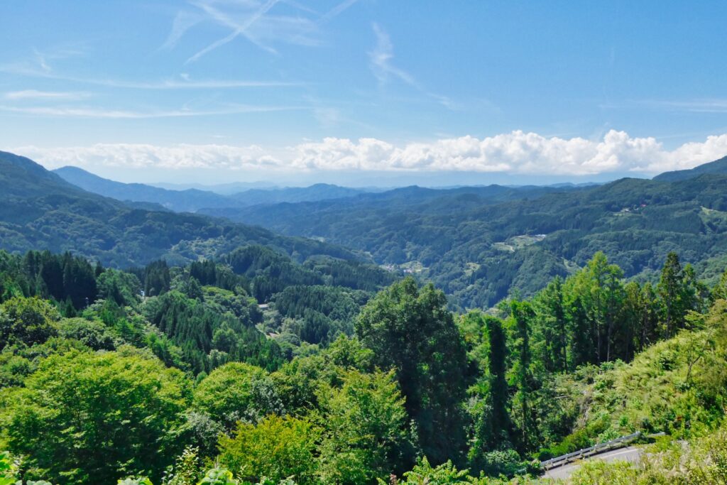 大望峠