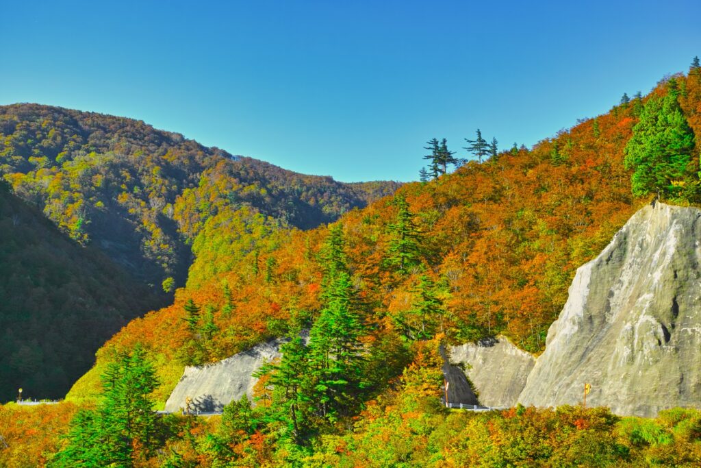 有峰林道 小口川線