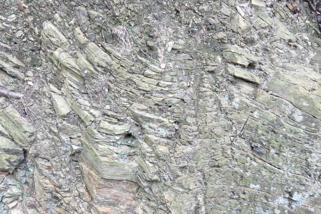 遊歩道(佐田岬灯台方面)