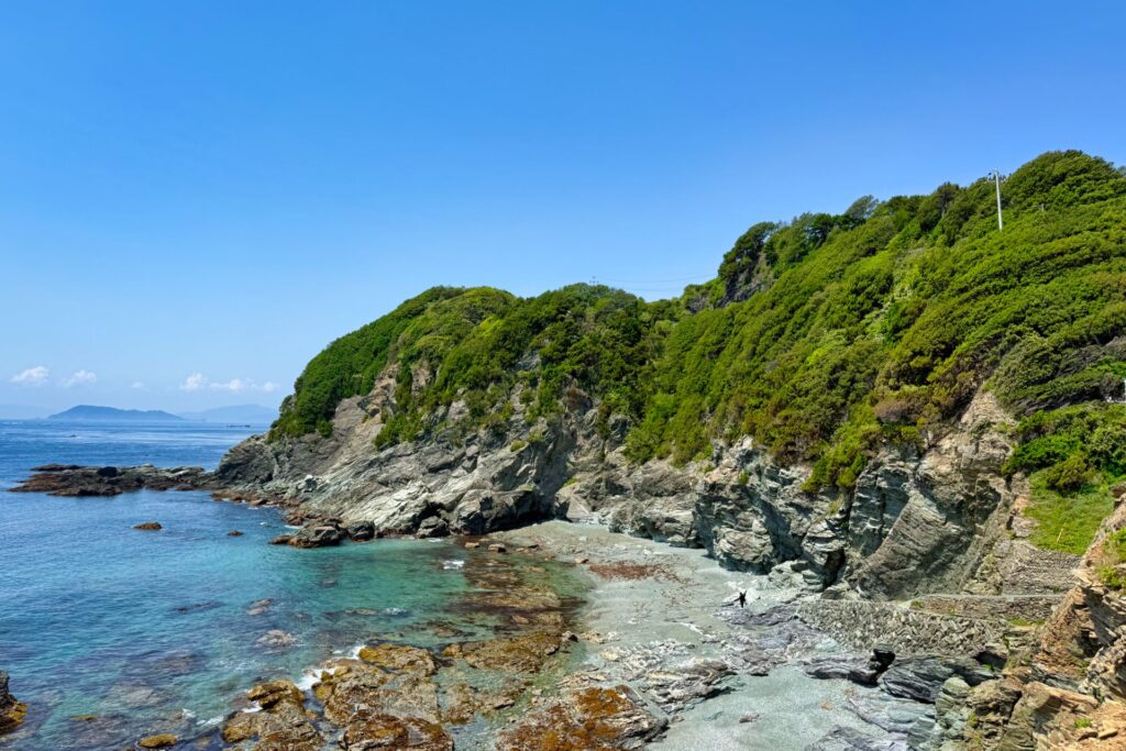 佐田岬の堆積岩