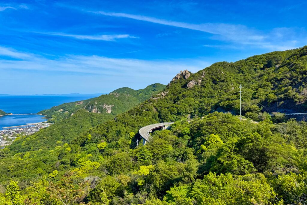県道246号