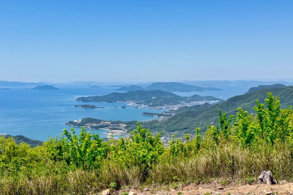 しあわせの丘