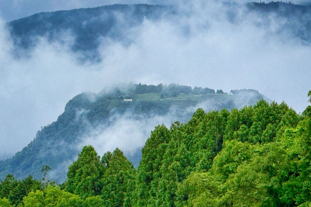 伐株山