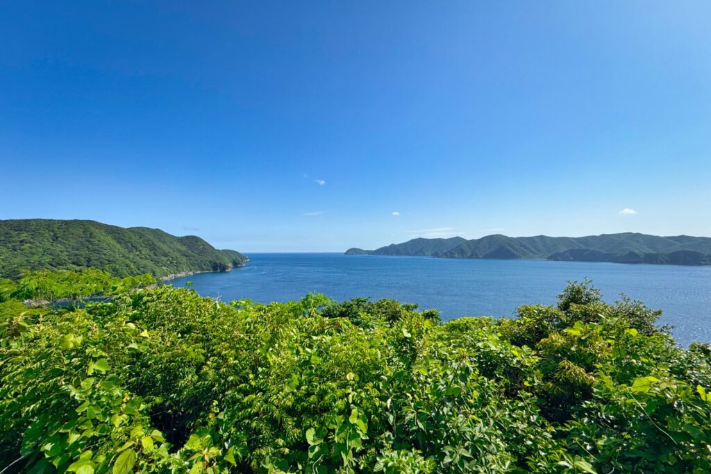 宮原展望所
