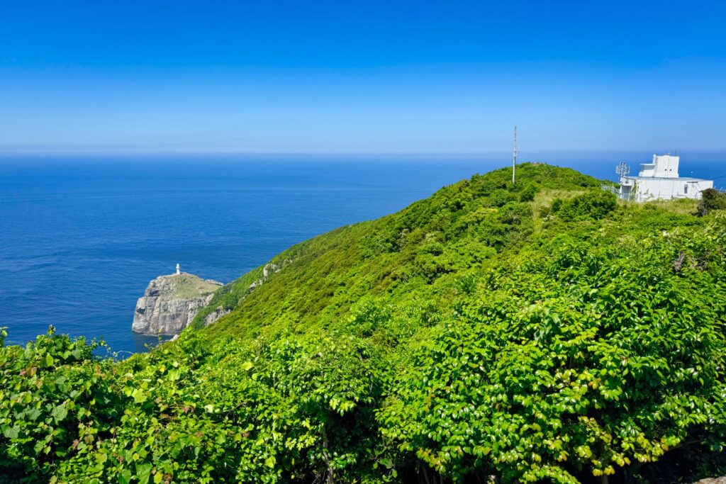 大瀬山山頂