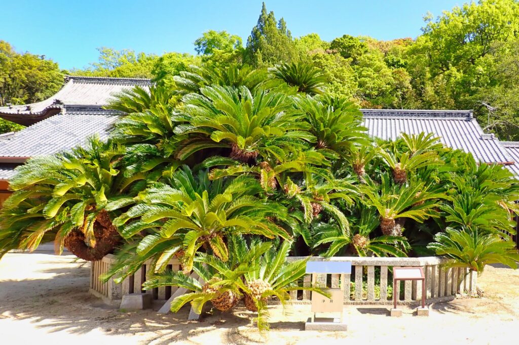 小豆島霊場第三十一番 誓願寺